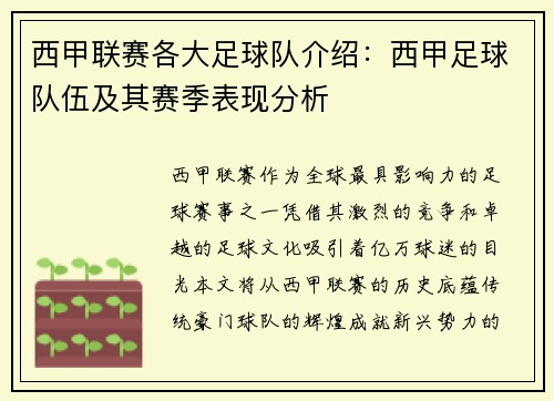 西甲联赛各大足球队介绍：西甲足球队伍及其赛季表现分析